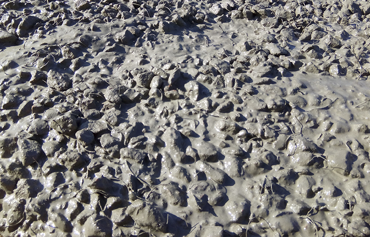 Фібра, як заміна зварної сітки при армуванні конструкції