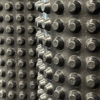 Image 0 Шиповидна мембрана